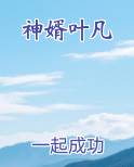 神婿叶凡笔趣阁免费阅读