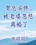 贺总实惨，被老婆忽悠离婚了