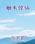 触木惊仙免费阅读笔趣阁